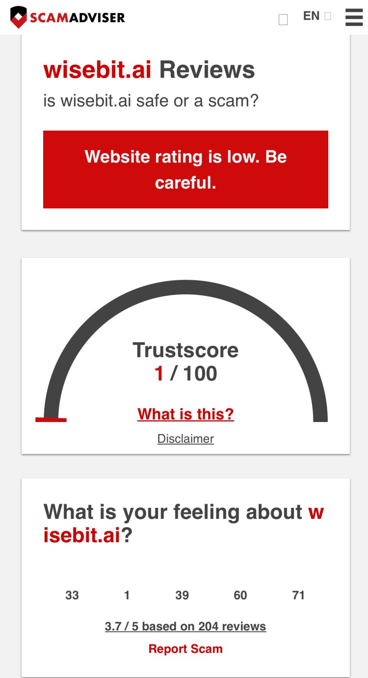 How Can I Recover My Money From WiseBit AI
