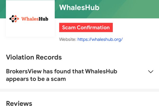 How Can I Recover My Money From WhalesHub