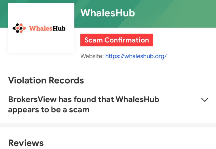 How Can I Recover My Money From WhalesHub